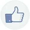 Κονκάρδα facebook Like button
