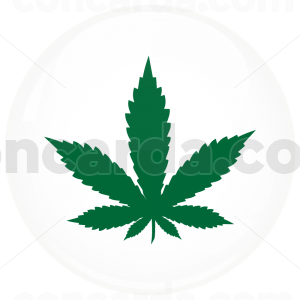 Κονκάρδα μαριχουάνα σύμβολο λευκή 