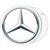 Κονκάρδα Mercedes