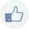 Κονκάρδα facebook Like button