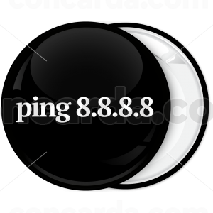 IT ping 8.8.8.8