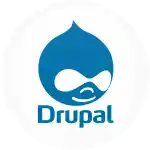 Κονκάρδα Drupal λευκή