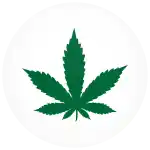 &Kappa;&omicron;&nu;&kappa;ά&rho;&delta;&alpha; &mu;&alpha;&rho;&iota;&chi;&omicron;&upsilon;ά&nu;&alpha; &sigma;ύ&mu;&beta;&omicron;&lambda;&omicron; &lambda;&epsilon;&upsilon;&kappa;ή 