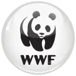 WWF