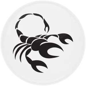 &Kappa;&omicron;&nu;&kappa;ά&rho;&delta;&alpha; &Zeta;ώ&delta;&iota;&alpha; &Sigma;&kappa;&omicron;&rho;&pi;&iota;ό&sigmaf; white collection