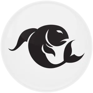 &Kappa;&omicron;&nu;&kappa;ά&rho;&delta;&alpha; &Zeta;ώ&delta;&iota;&alpha; &Iota;&chi;&theta;&epsilon;ί&sigmaf; white collection