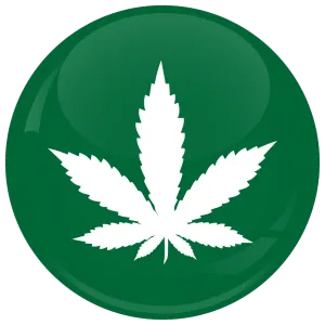 &Kappa;&omicron;&nu;&kappa;ά&rho;&delta;&alpha; &mu;&alpha;&rho;&iota;&chi;&omicron;&upsilon;ά&nu;&alpha; &sigma;ύ&mu;&beta;&omicron;&lambda;&omicron; &pi;&rho;ά&sigma;&iota;&nu;&eta;