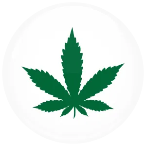 &Kappa;&omicron;&nu;&kappa;ά&rho;&delta;&alpha; &mu;&alpha;&rho;&iota;&chi;&omicron;&upsilon;ά&nu;&alpha; &sigma;ύ&mu;&beta;&omicron;&lambda;&omicron; &lambda;&epsilon;&upsilon;&kappa;ή 