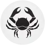 &Kappa;&omicron;&nu;&kappa;ά&rho;&delta;&alpha; &Zeta;ώ&delta;&iota;&alpha; &Kappa;&alpha;&rho;&kappa;ί&nu;&omicron;&sigmaf; white collection