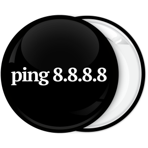IT ping 8.8.8.8