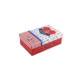 Cardboard package rectangular box for badges button navy red small