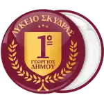 School gold bordeaux color pin badge button