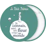 Le petit prince green pin badge button