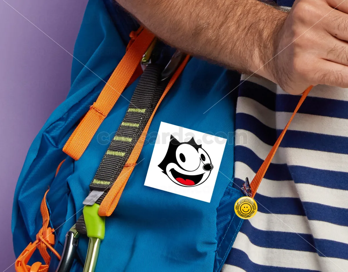 Felix the cat — Κονκάρδα Angular, Παραμάνα 50mm