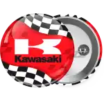 Kawasaki