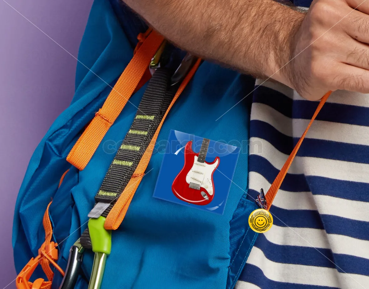 Guitar stratocaster — Κονκάρδα Angular, Παραμάνα 50mm