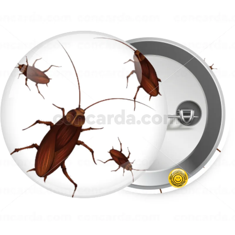 Blattodea — Κονκάρδα Στρογγυλή, Παραμάνα 25mm